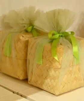 Sankranti-03