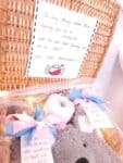 Pregnancy announcement hampers