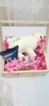Friendship Day Gift Box