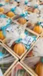 Thamboolam Gifts for Housewarming Ceremony
