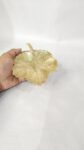 Elegant Brass Leaf Decorative Tray for Ugadi | WrapArts