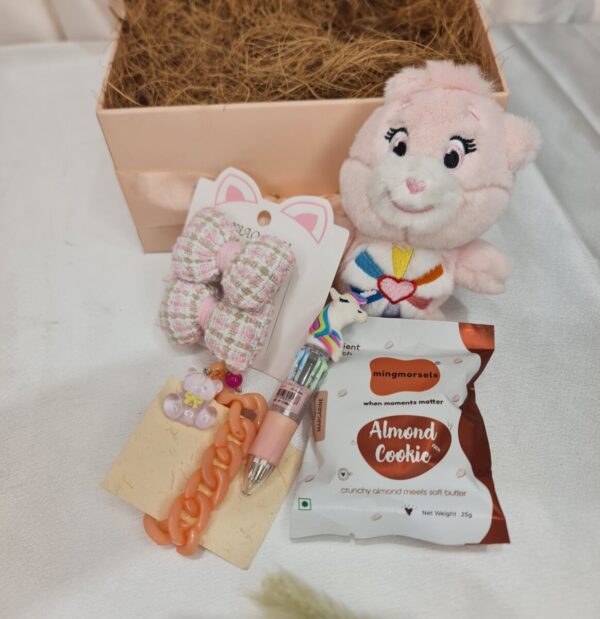 Hamper for little sister